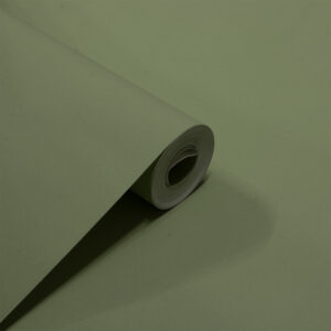 Papel de Parede Vinilizado Liso Verde Claro - PDL6055
