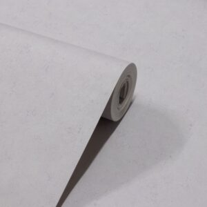 Papel de Parede Vinílico Cimento Queimado Cinza Claro PDL0022