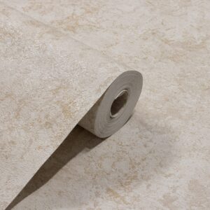 Papel de Parede Vinilico Cimento Queimado Bege PDL7445